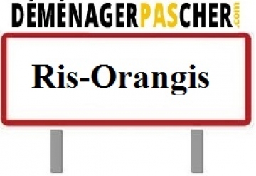 Demenagement Ris-Orangis